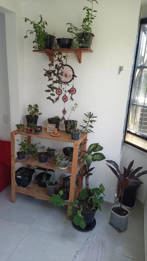 Fique No Bairro Mais Encantador De Salvador - Ba Appartement Buitenkant foto